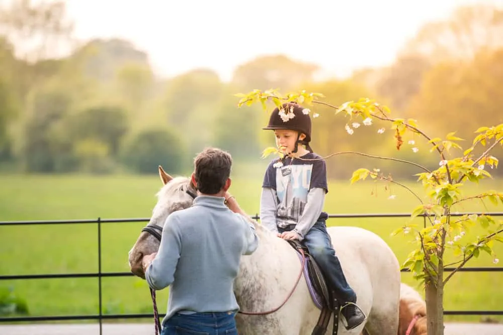A Career as a Horse Riding Trainer or Equestrian Business Owner